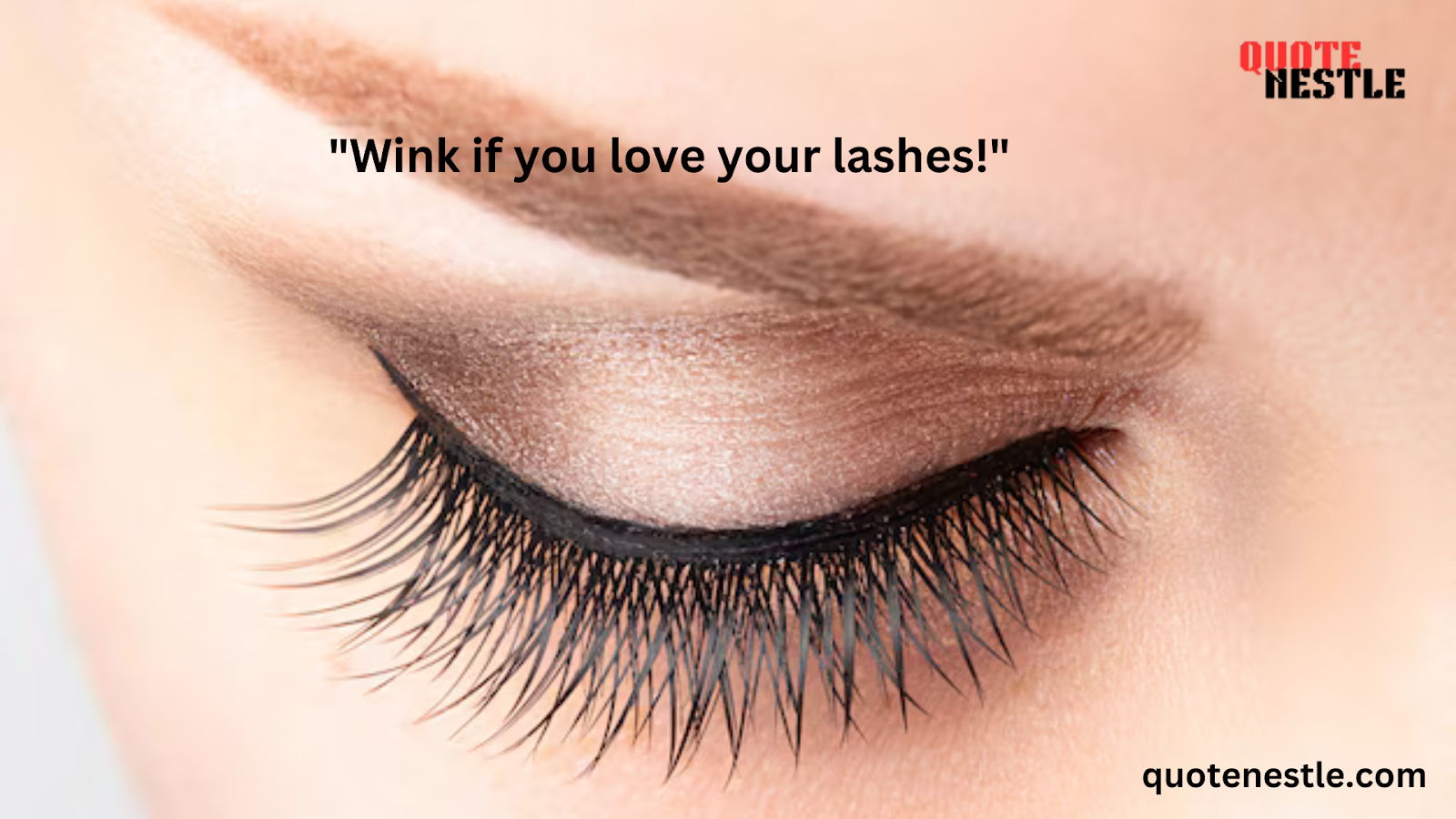 Cute Lash Quotes 