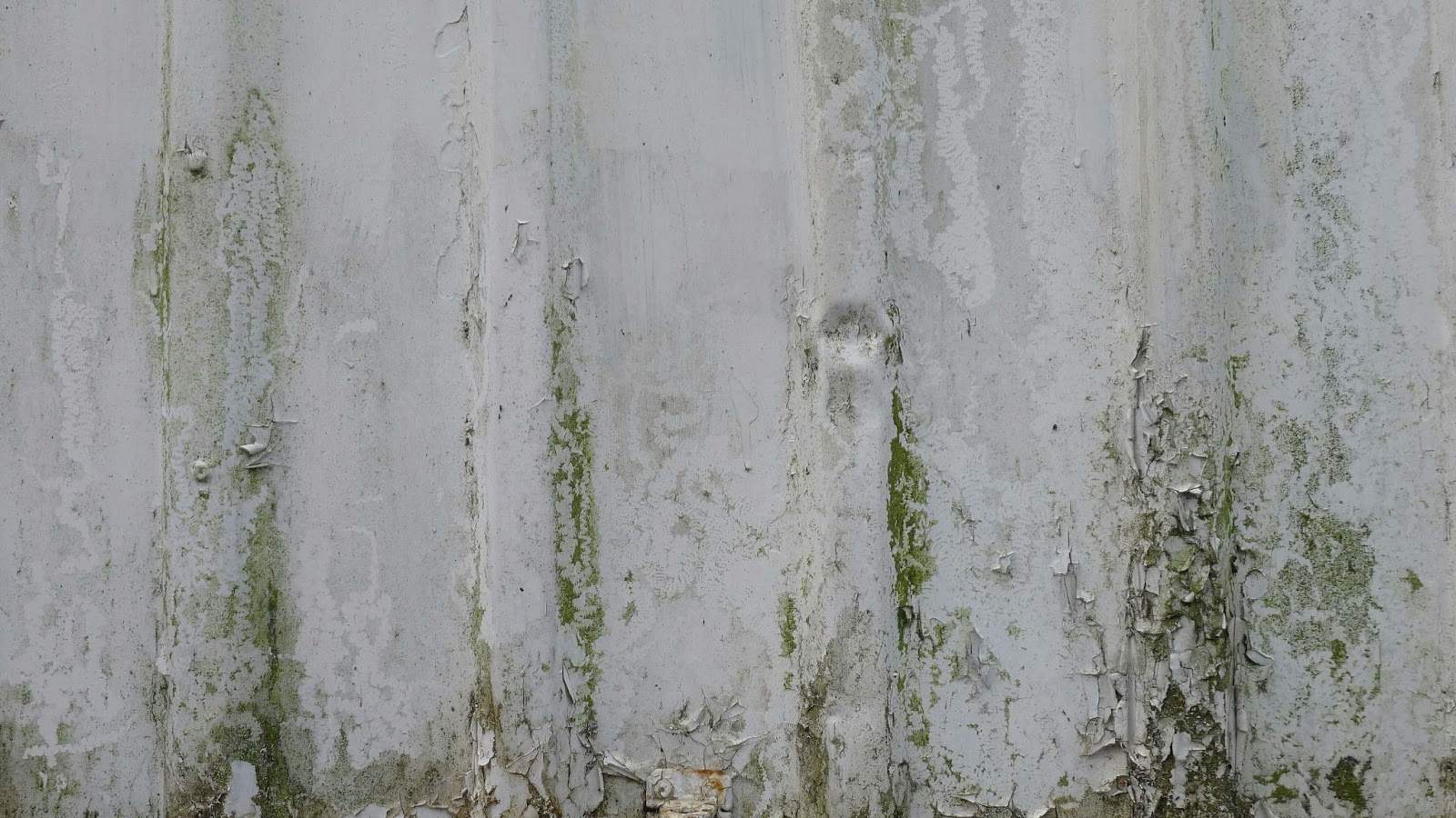 A wall with green mold and peeling white paint.