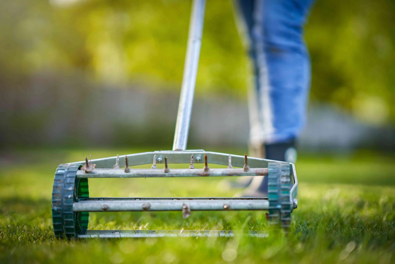When to Aerate a Lawn