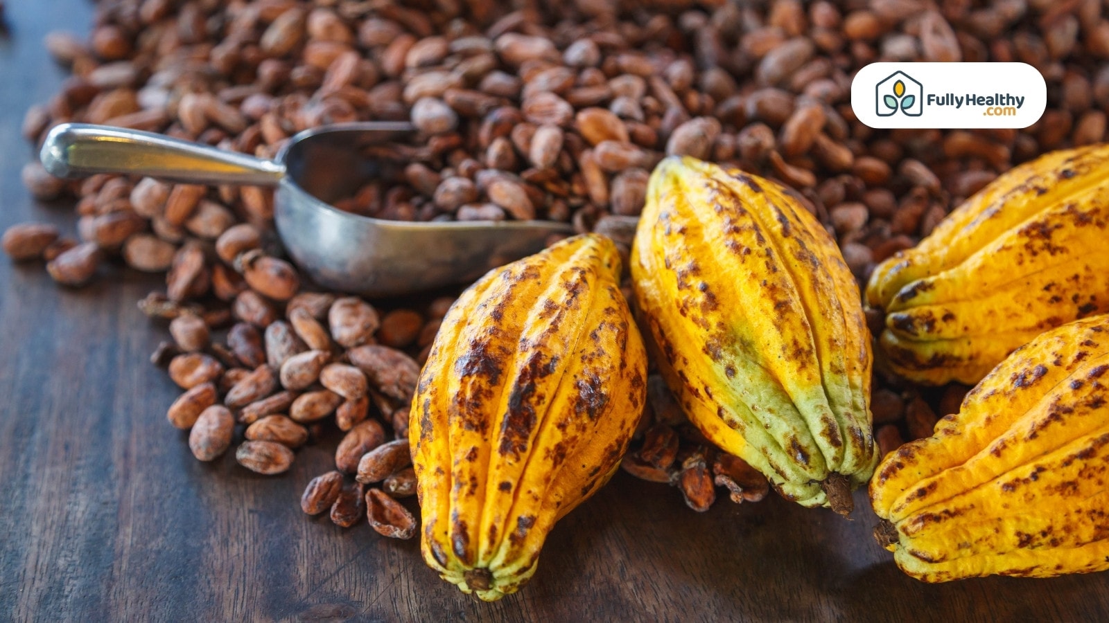 Ripe cocoa pods with scattered cocoa beans and metal scoop