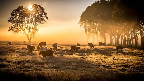 Scenes of Earth: 15 Nature Photos to Admire, earth scenes, admirable nature, nature, landscape, scenic pride, photo elegance