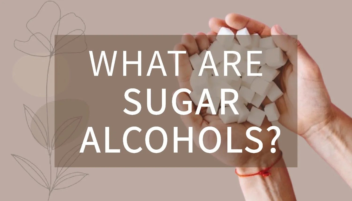 What are sugar alcohols?