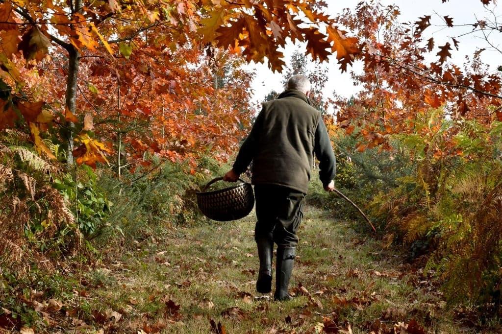 Nine delicious seasonal French dishes to try this autumn