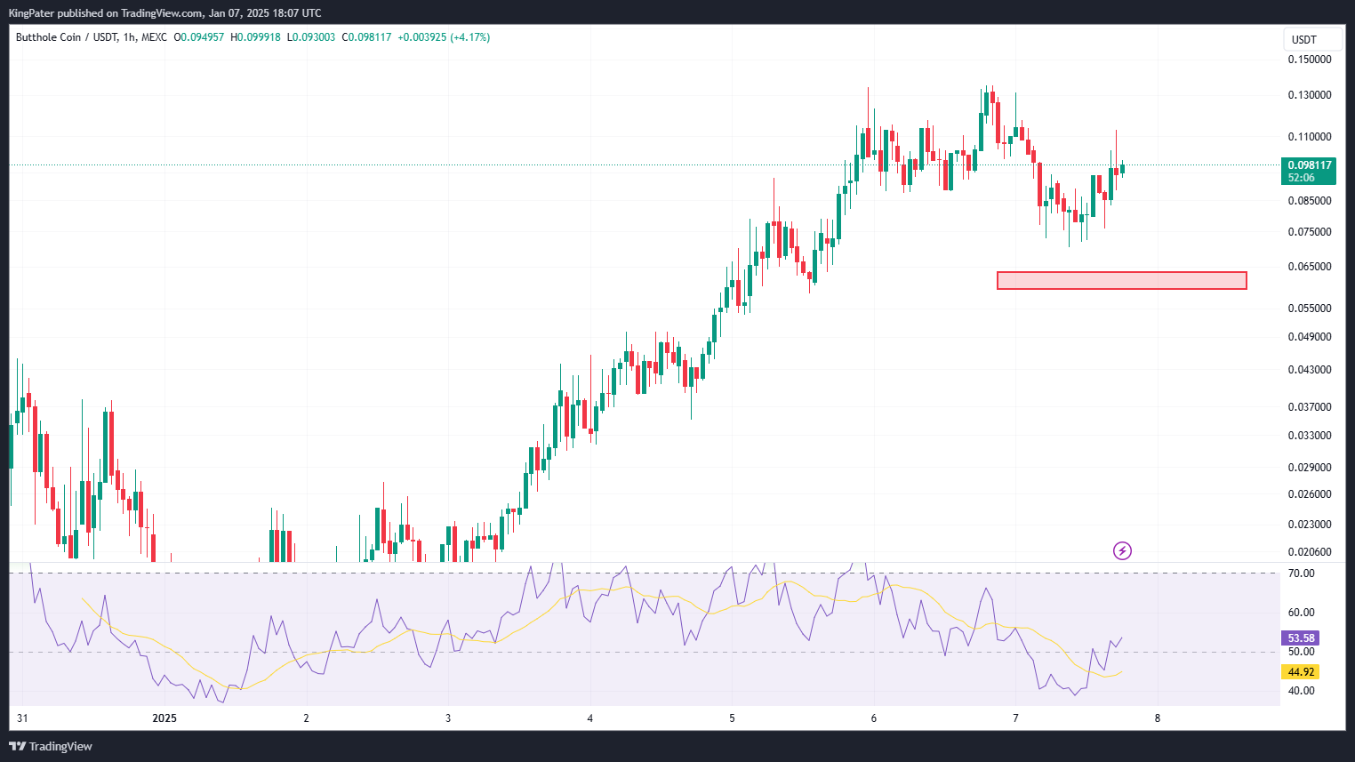 BUTTHOLE price chart Jan 2025