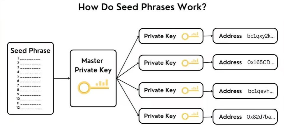 crypto-seed-phrase