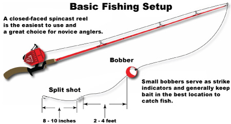 Trout Fishing Basics: Master the Art of Catching Your First Trout