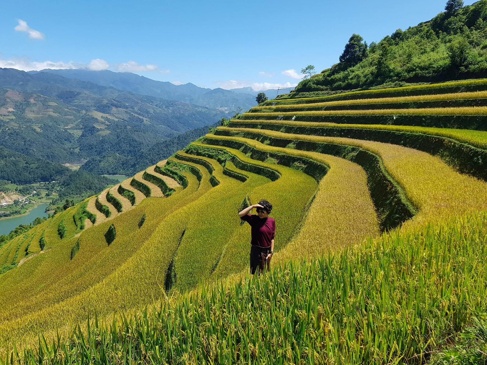 Chiêm ngưỡng ruộng bậc thang chín vàng vào tháng 9 đến tháng 10. 