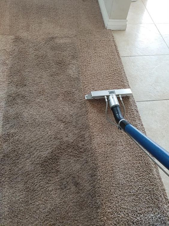 Carpet Cleaning