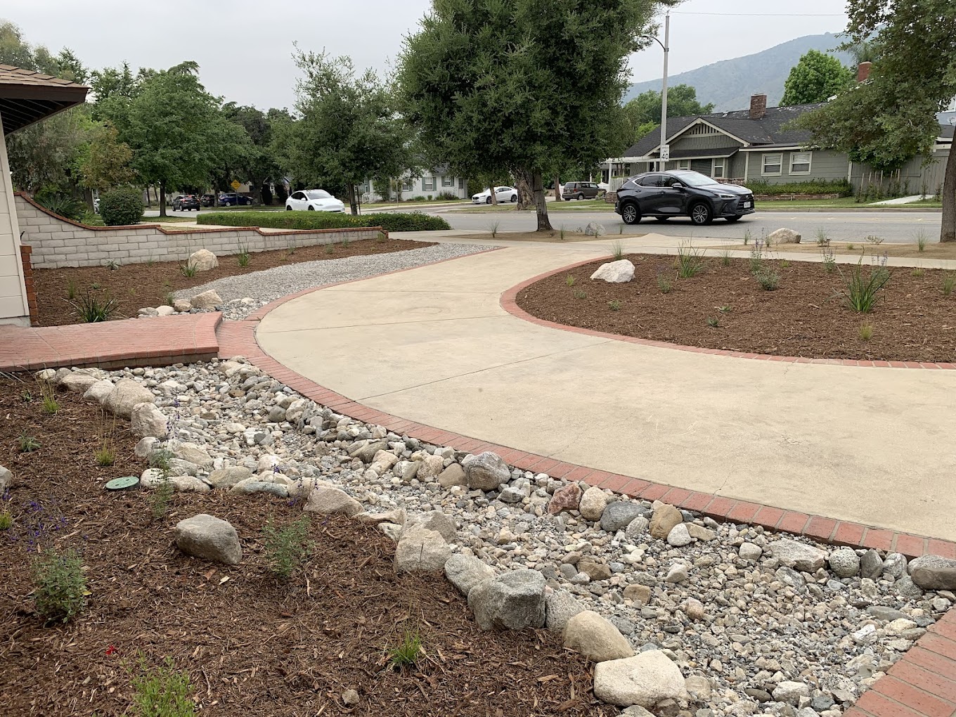 drought tolerant landscaping