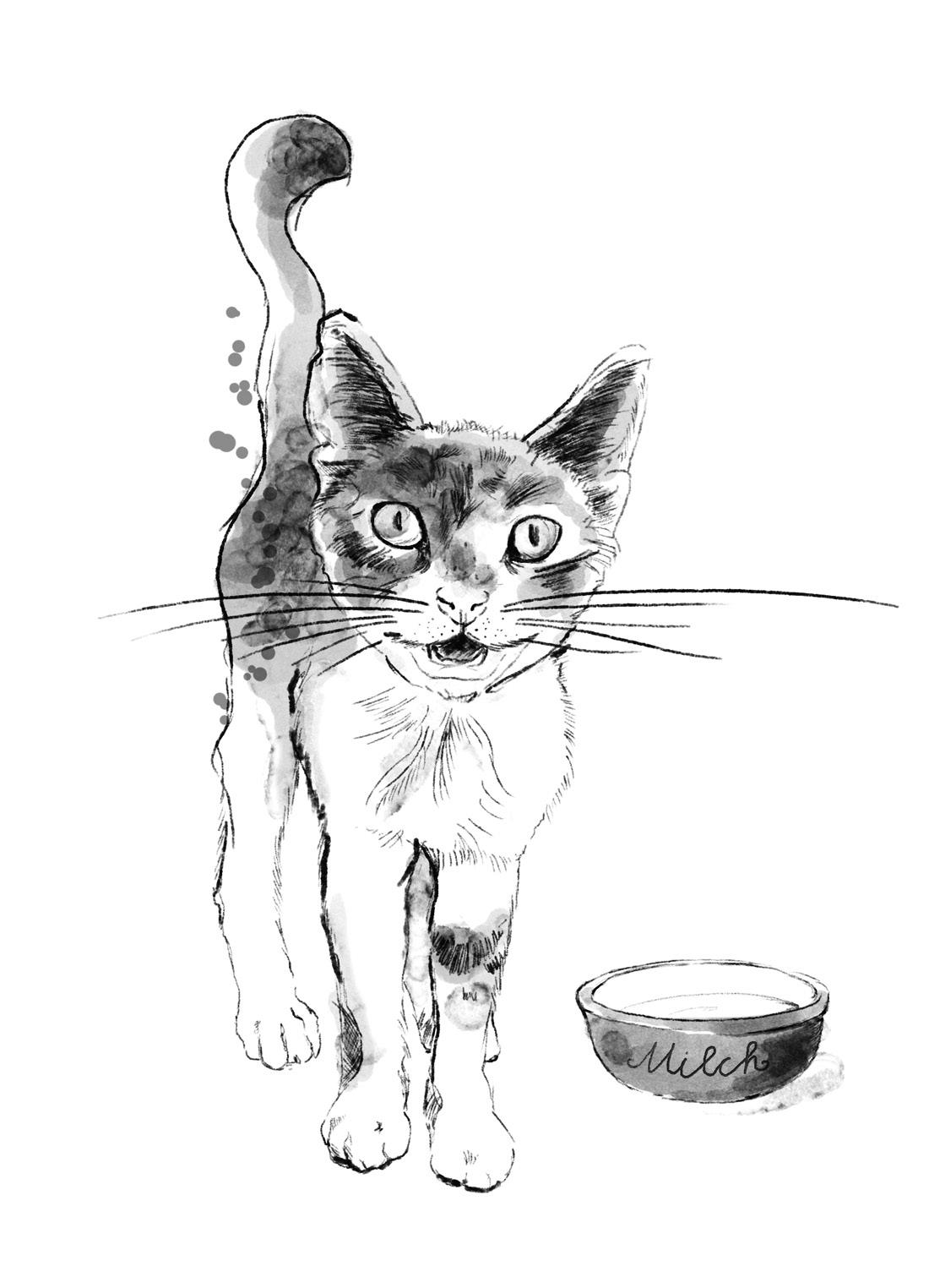 Katzenbuch_Miauen_BW.jpg