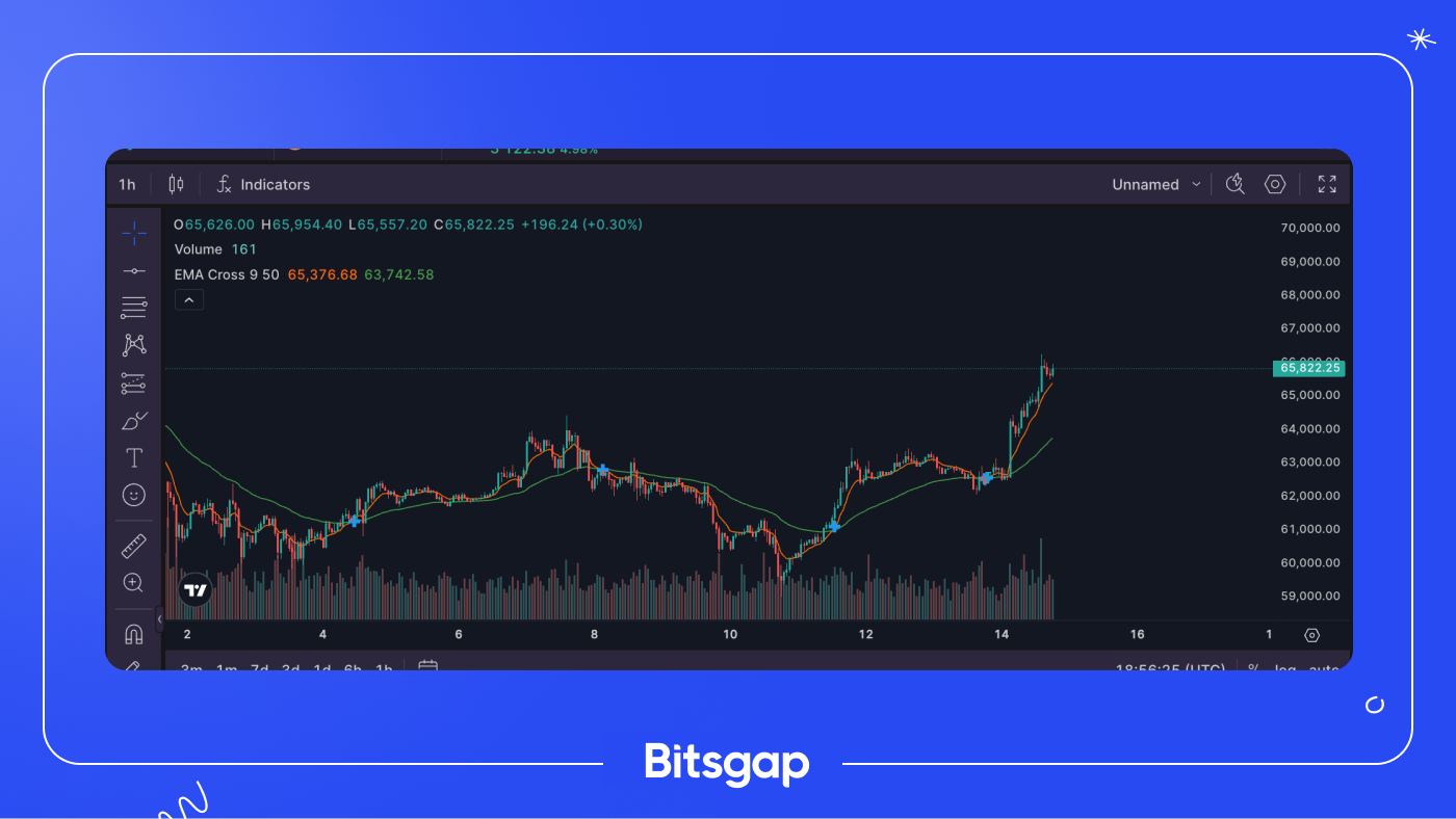 Crypto Surges and Meme Coins Rally Despite Hot PPI Print-1