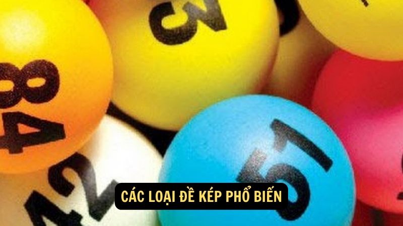 Các loại đề kép phổ biến