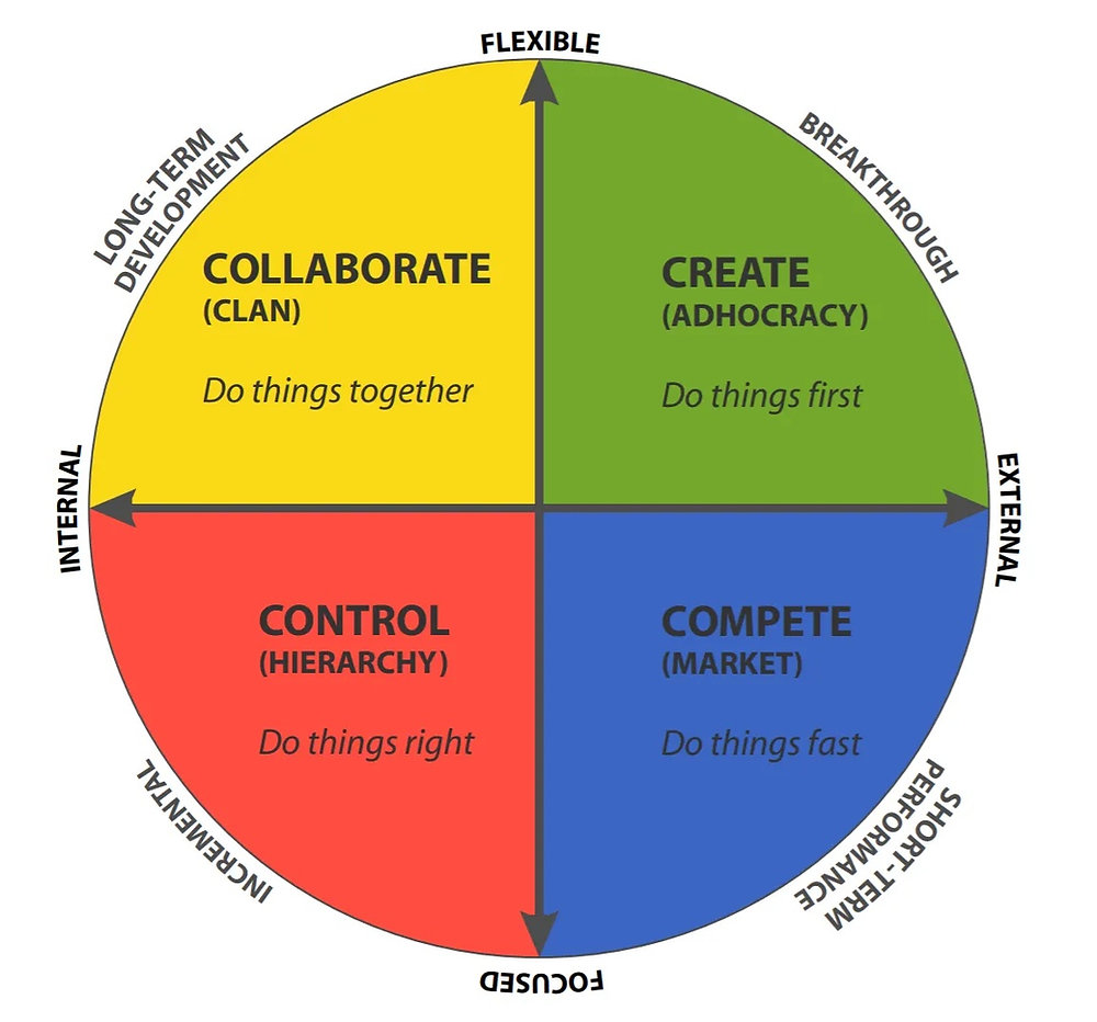 The Competing Values Framework (CVF), developed by Kim Cameron and Robert Quinn : adhocracy culture