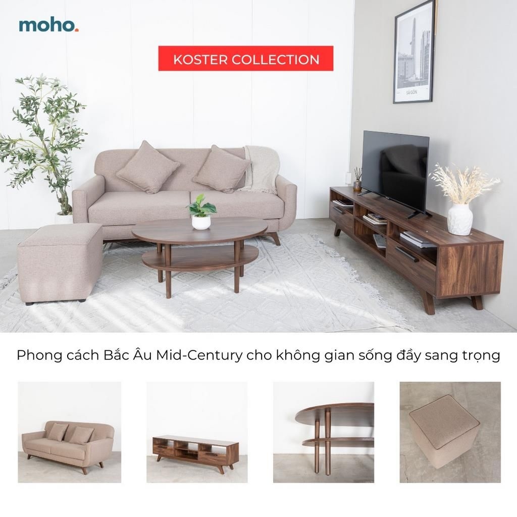 Hình ảnh bài viết