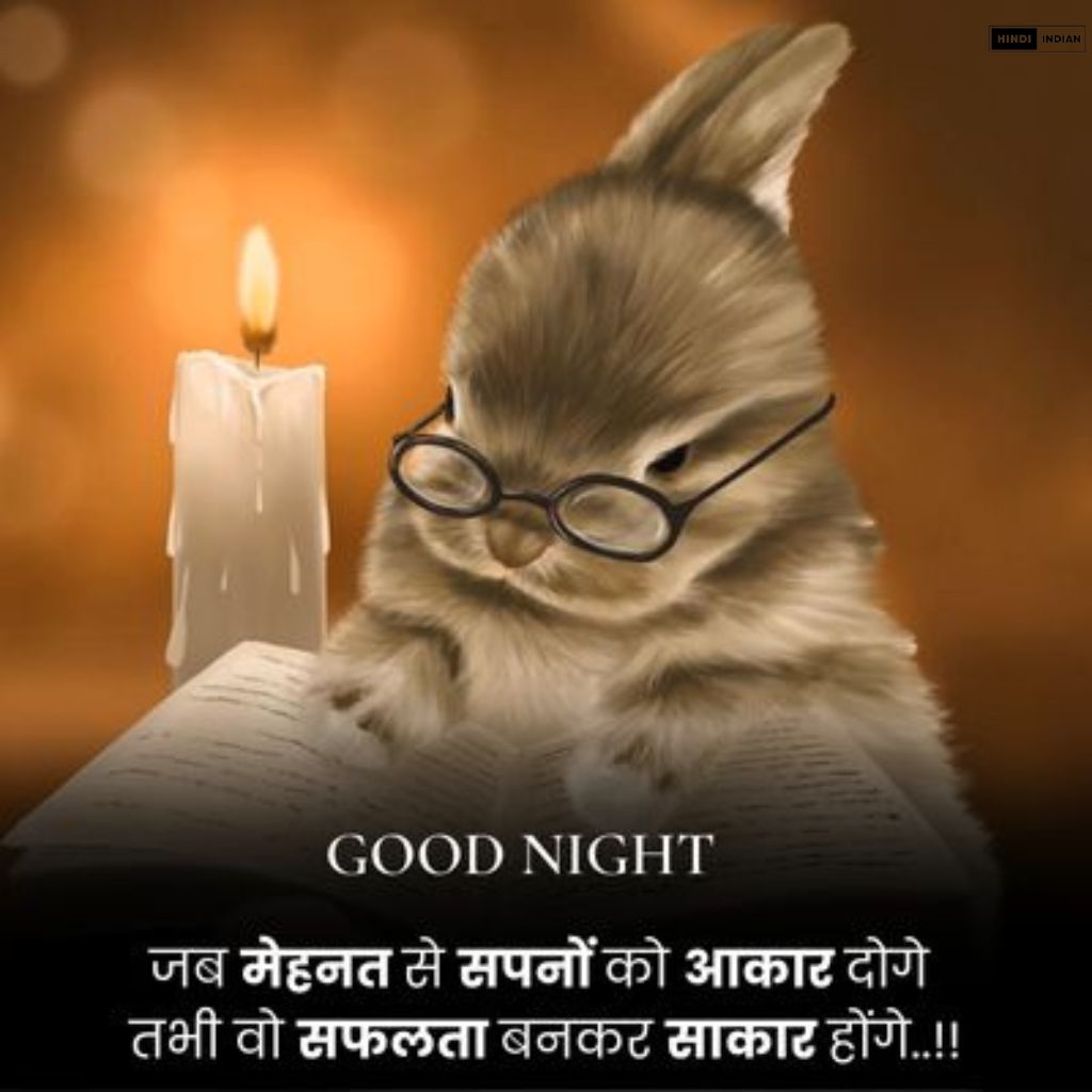 Good Night Quotes in Hindi [HD Photos] | शुभ रात्रि सुविचार