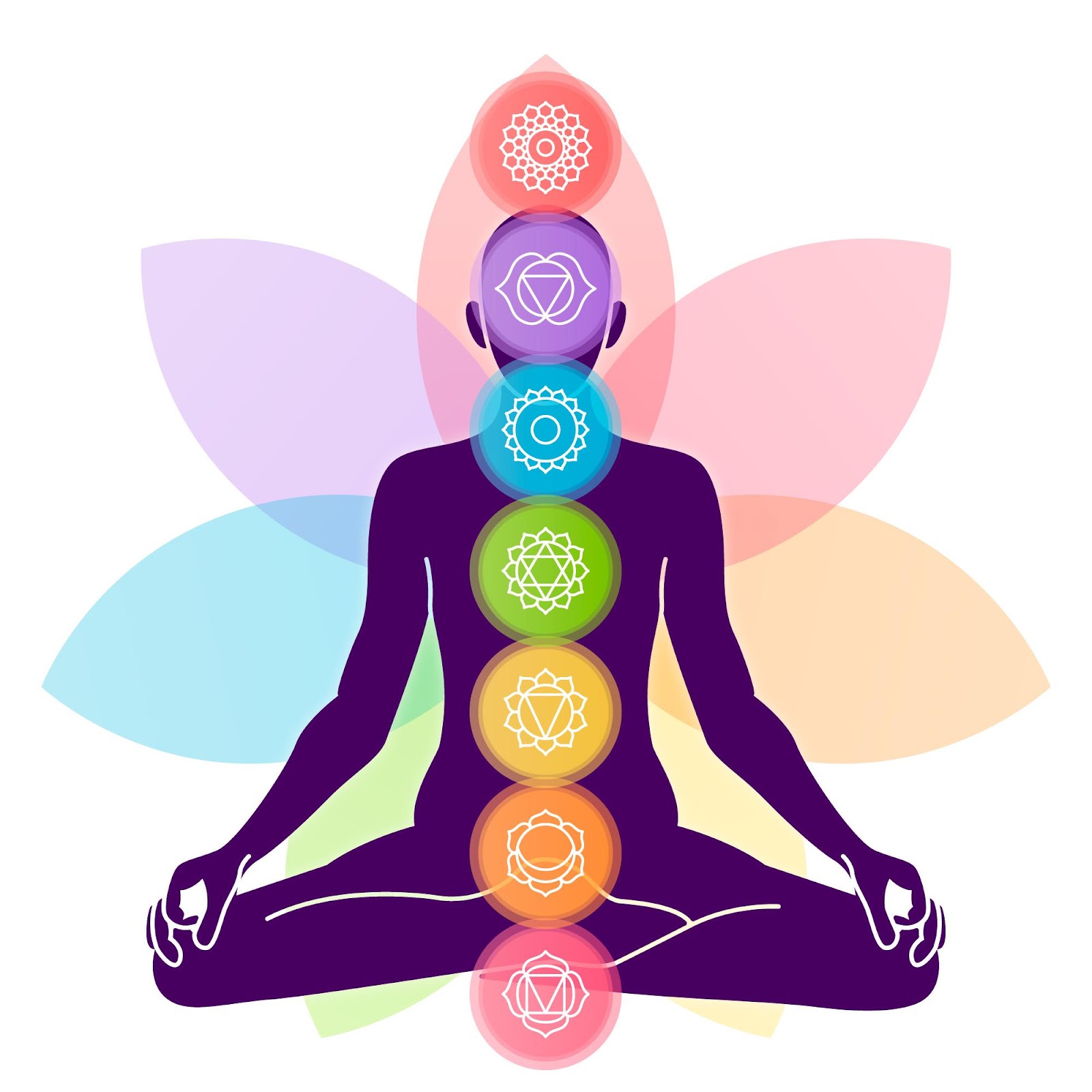 top 10 vastu tips for home