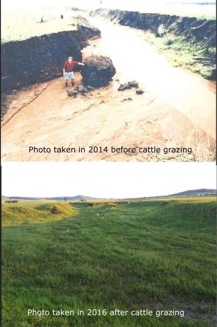 A person standing on a rock

Description automatically generated with low confidence