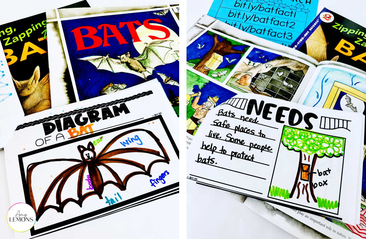 fall research booklet about bats with two bat picture books.