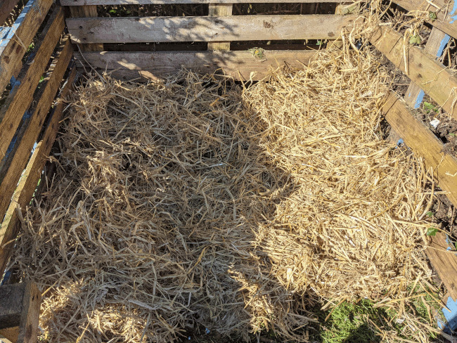 Straw covering compost material in one of my pallet bins..