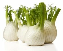 fennel