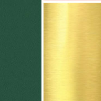 Color Palettes