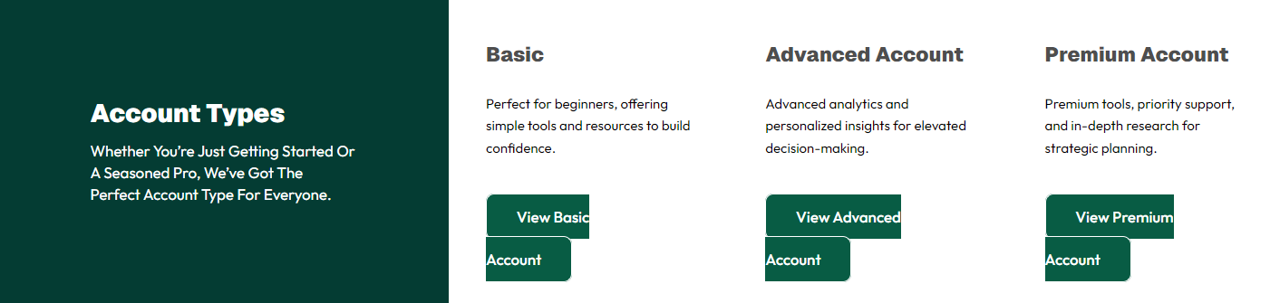 Powered Consultancy account types