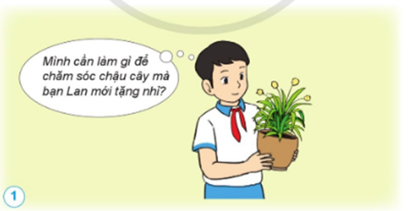 BÀI 13: NHU CẦU SỐNG CỦA THỰC VẬT VÀ CHĂM SÓC CÂY TRỒNG