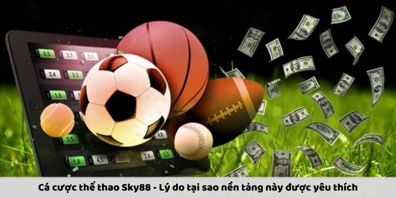 Cá cược thể thao Sky88 cung cấp nhiều trò chơi