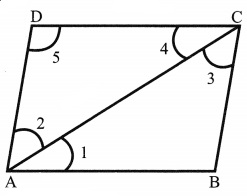 CBSE Class 6 Maths Understanding Elementary Shapes Worksheets 2