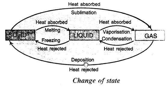 Selina Concise Physics Class 8 ICSE Solutions Chapter 1 Matter 8