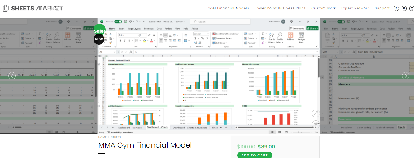 MMA Gym financial model