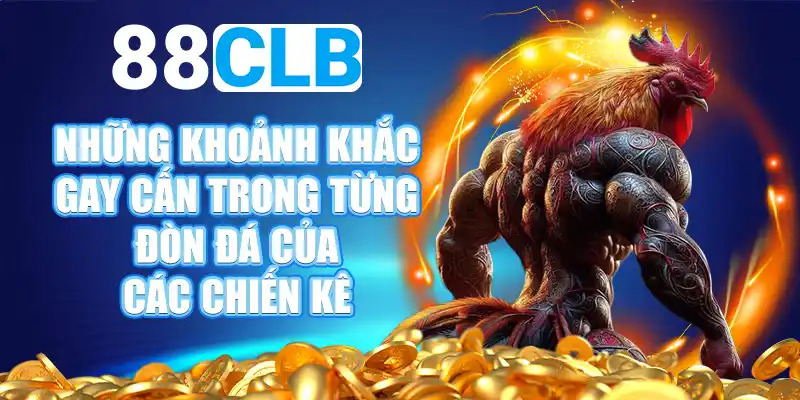 Những điểm nổi bật khi xem trực tiếp đá gà tại 88CLB