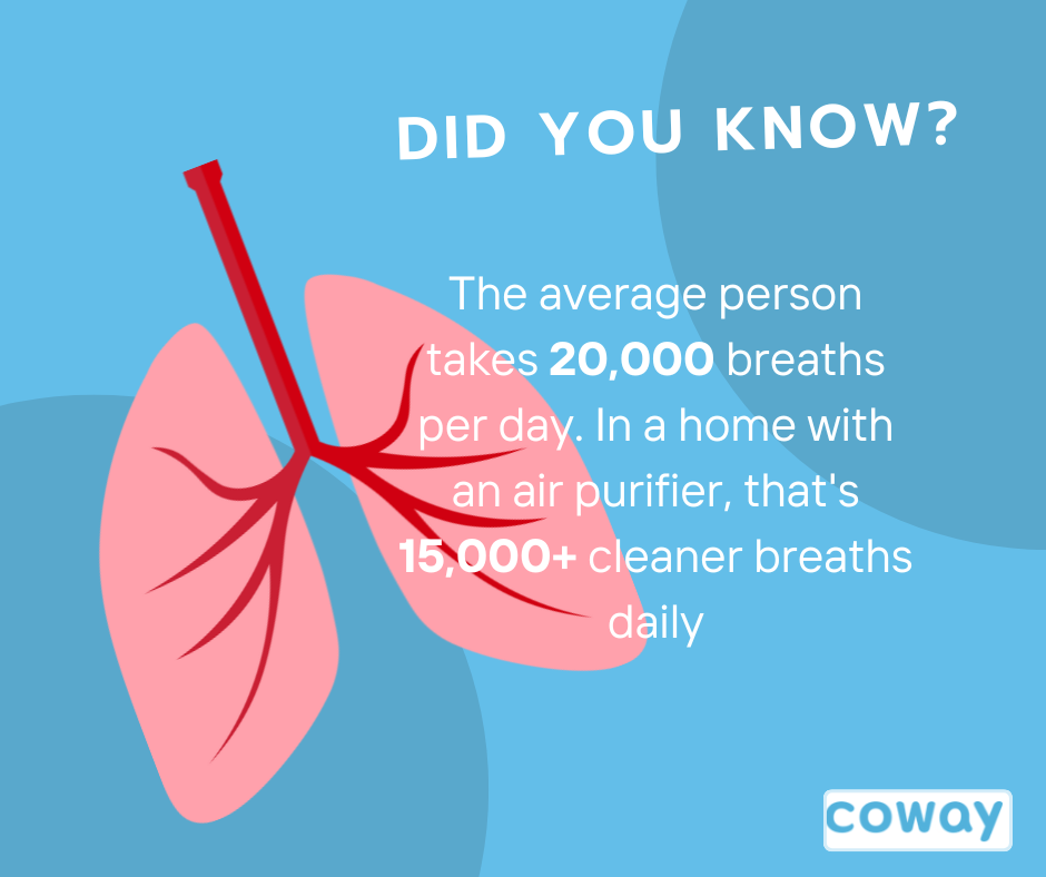 A graphic discussing average breaths per day.
