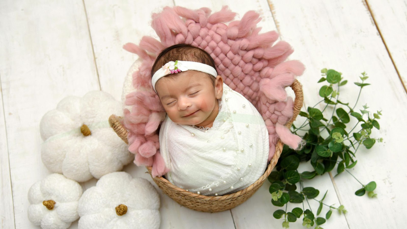 Newborn Photography Furniture Props Images 7