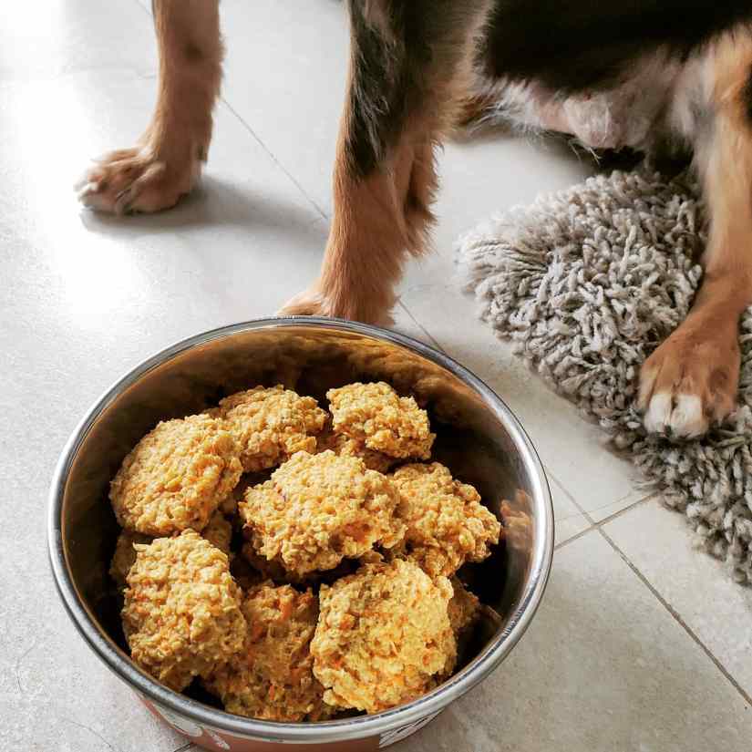 Galletas de zanahoria y avena para perro - Irene Home Baking