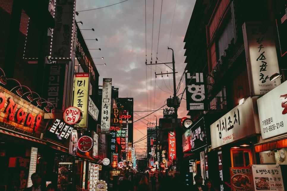 한국 인구 증가의 비밀 (feat 2023년 인구주택총조사)