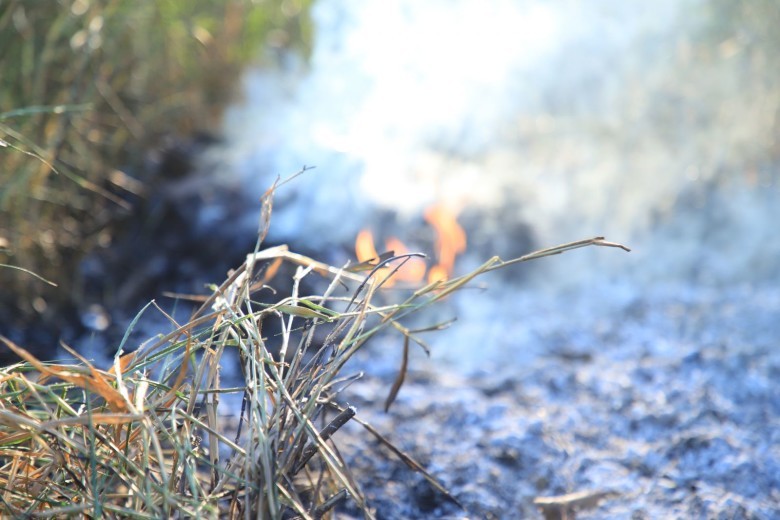 Fumaça proveniente desses incêndios provoca sérios agravos respiratórios e cardiovasculares