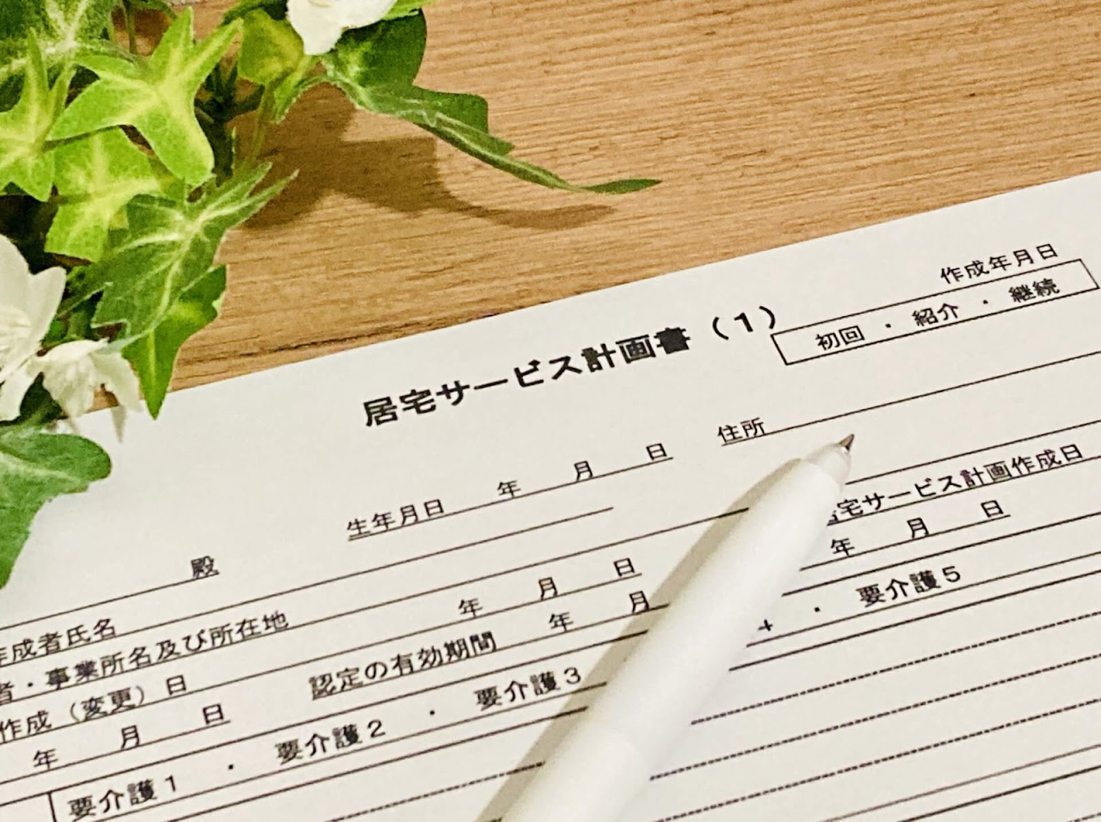 ケアプランとは｜要介護者への介護サービス計画書のこと