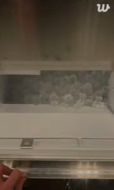 This contain an image of Jungkook's  a built-in ice maker drawer