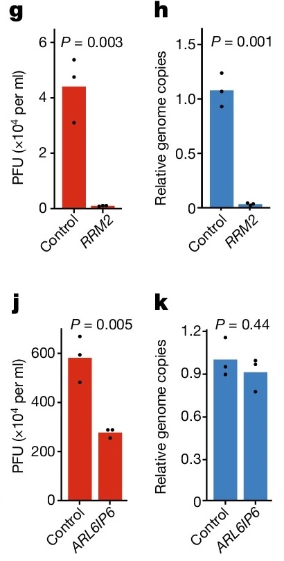 Results of a qPCR experiment. Image description available.