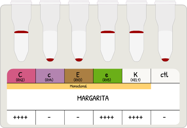 Escala de tiempo

El contenido generado por IA puede ser incorrecto.