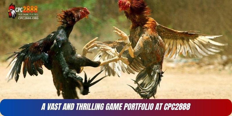 CPC2888 – A Premier Gaming Platform Setting for Quality