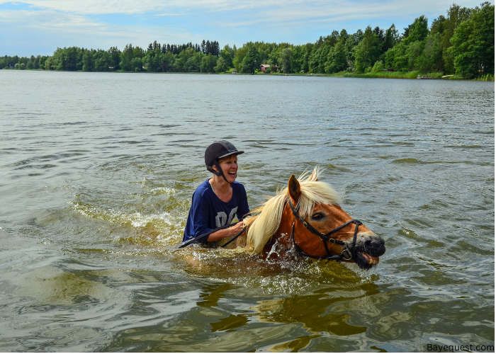 How Do You Teach a Horse to Swim?