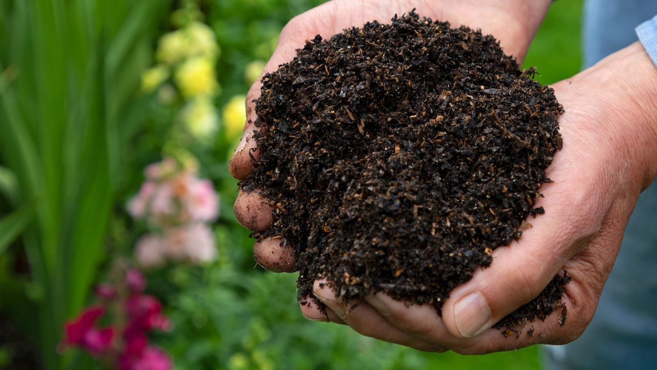 man holding homemade compost in the garden in Alaska
