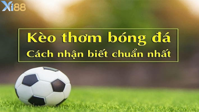 Hướng dẫn các phương thức giúp nhận biết kèo thơm là gì