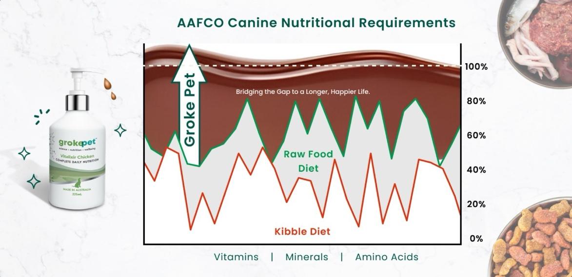 A diagram of a dog food diet

Description automatically generated