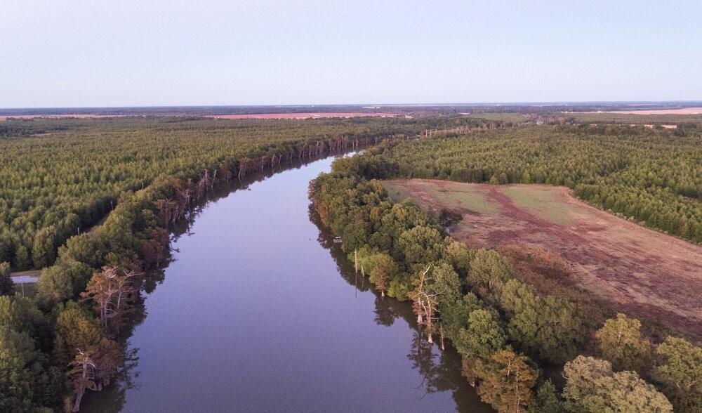 From Farmland To Forrest in the Mississippi  Delta, The Walton Family 