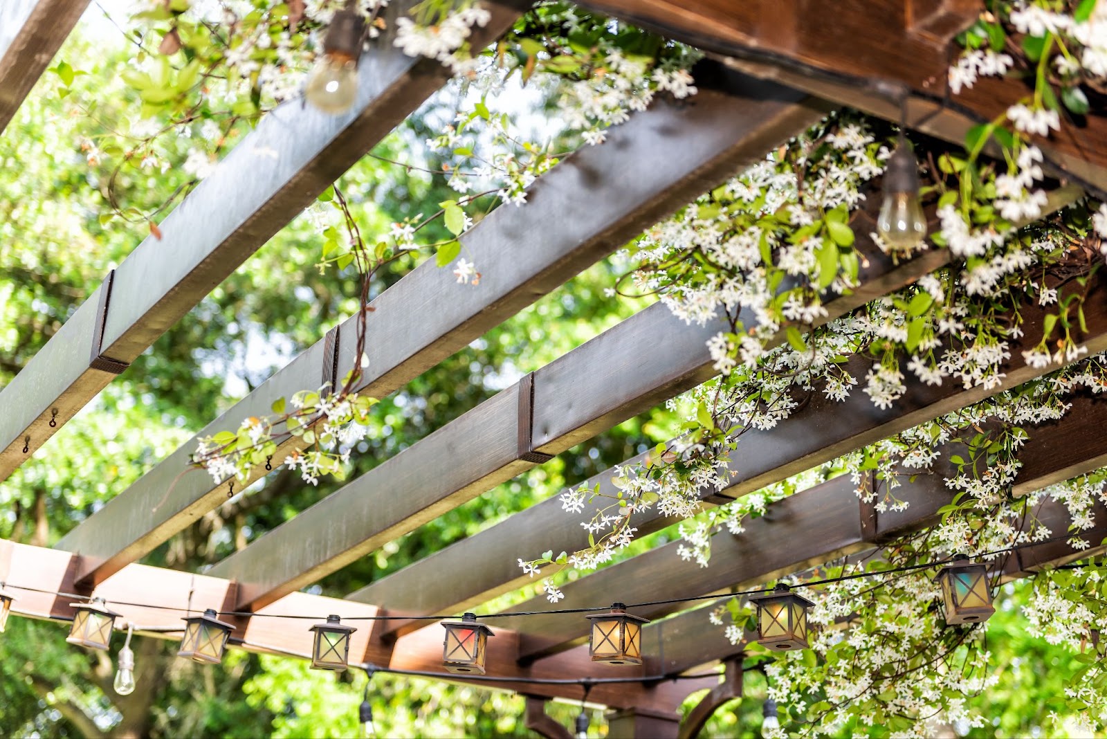 pergola vs trellis​