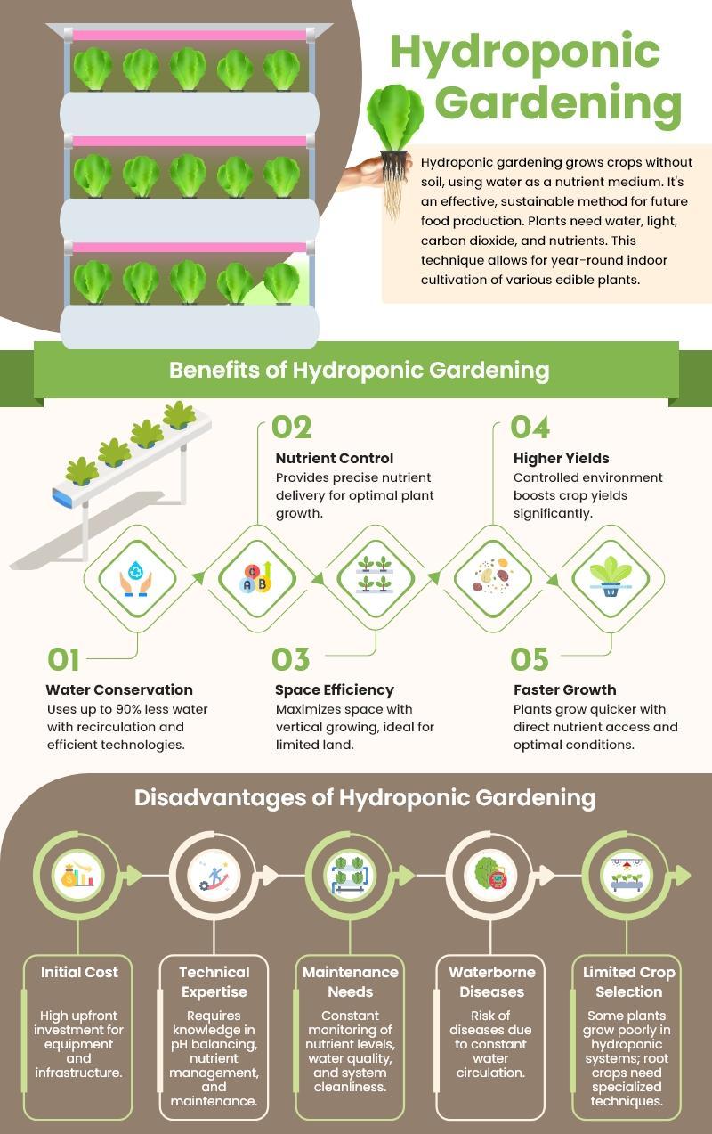 6 Hydroponic Gardening Tips for a More Successful Harvest