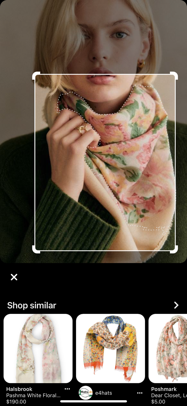 ภาพหน้าจอของเลนส์ Pinterest